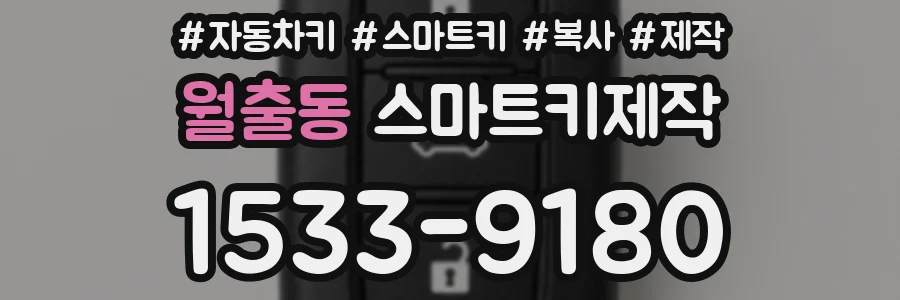 월출동 스마트키제작