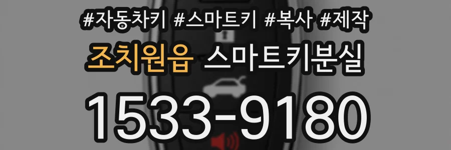 조치원읍 스마트키분실