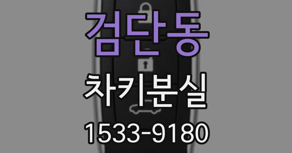 검단동 차키분실