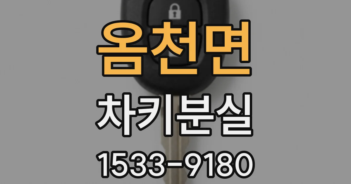 옴천면 차키분실