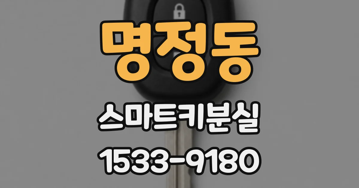 명정동 스마트키분실