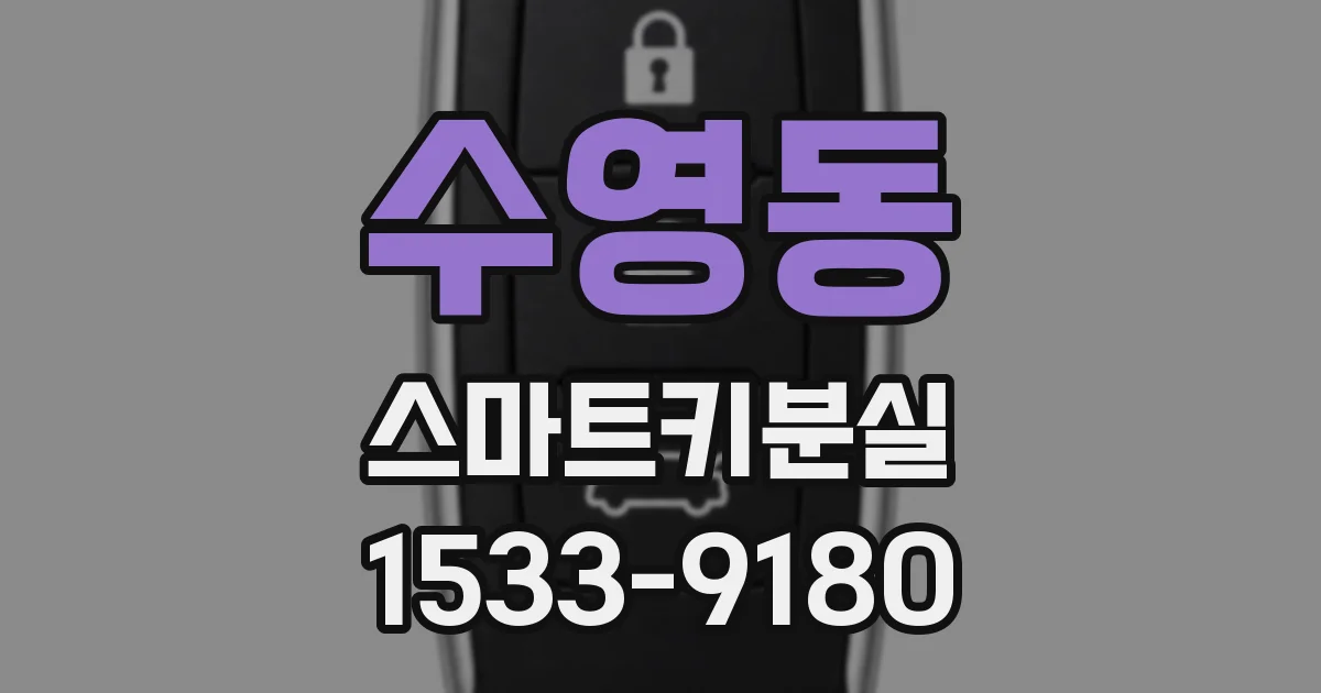 수영동 스마트키분실
