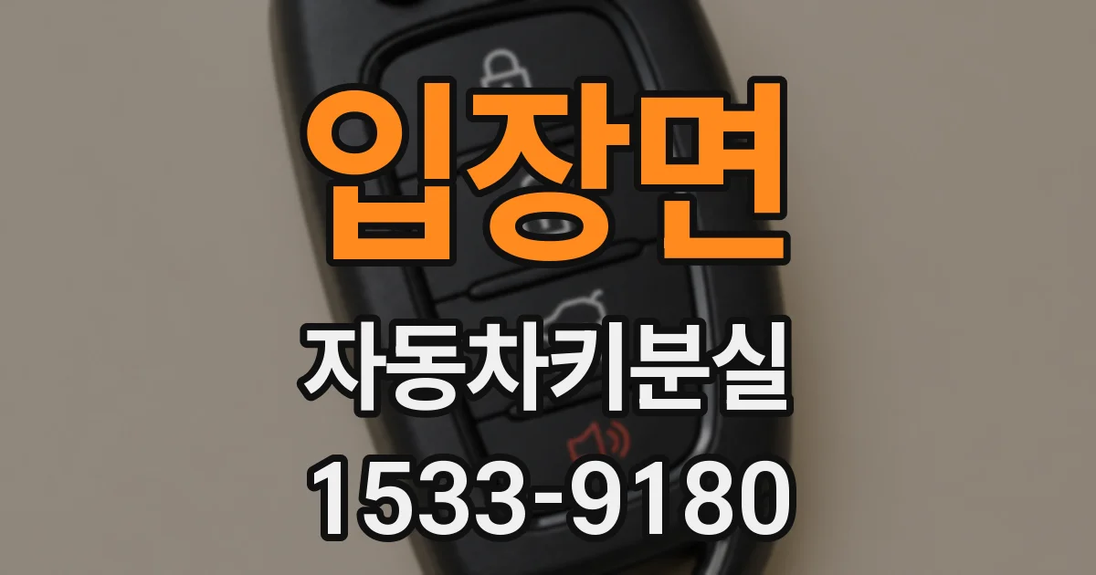입장면 자동차키분실