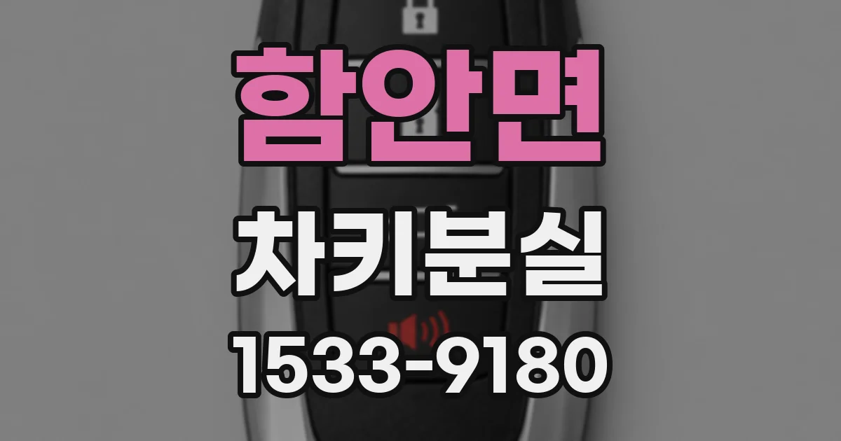 함안면 차키분실