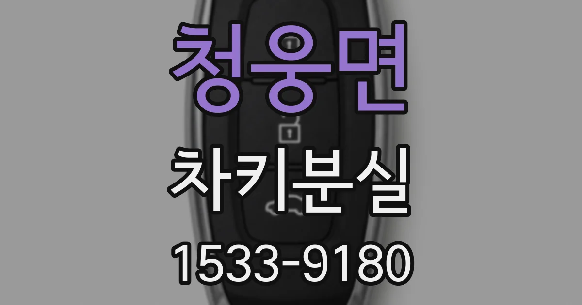 청웅면 차키분실