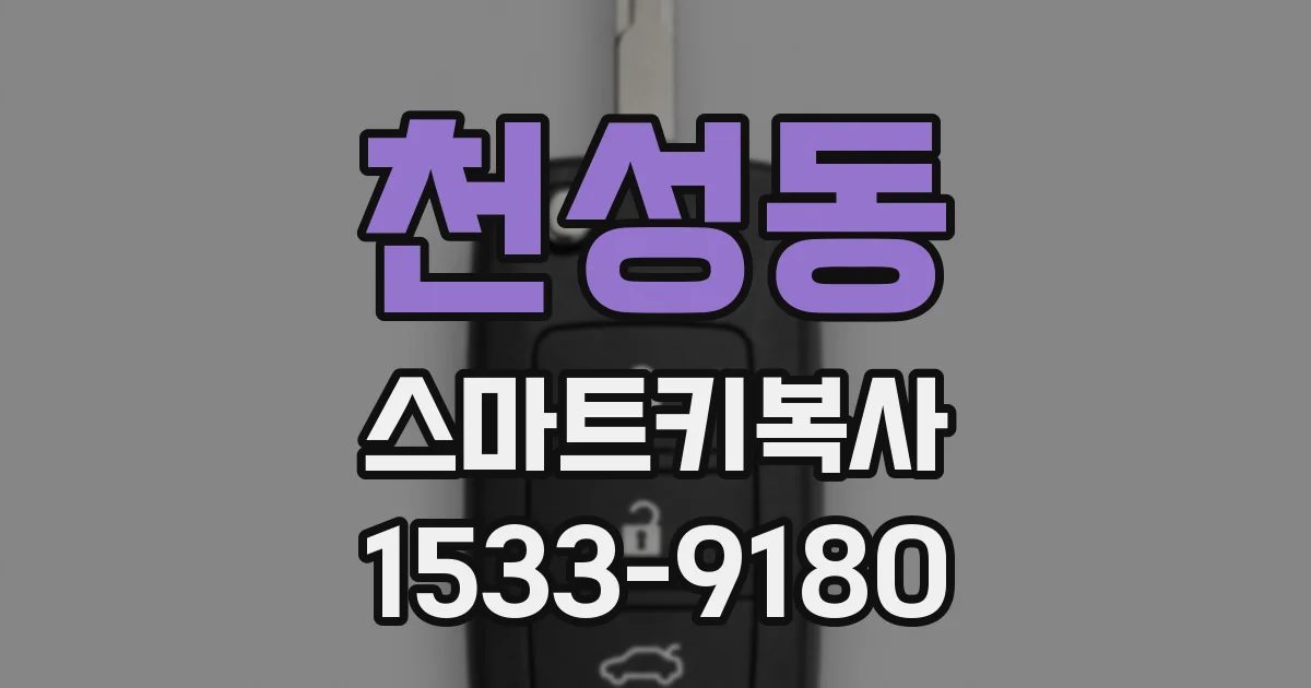 천성동 스마트키복사