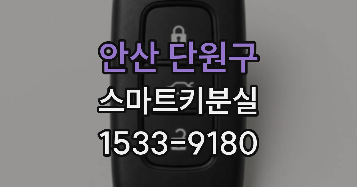 안산 단원구 스마트키분실