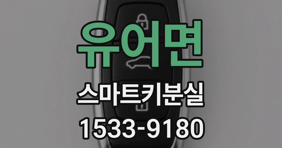 유어면 스마트키분실