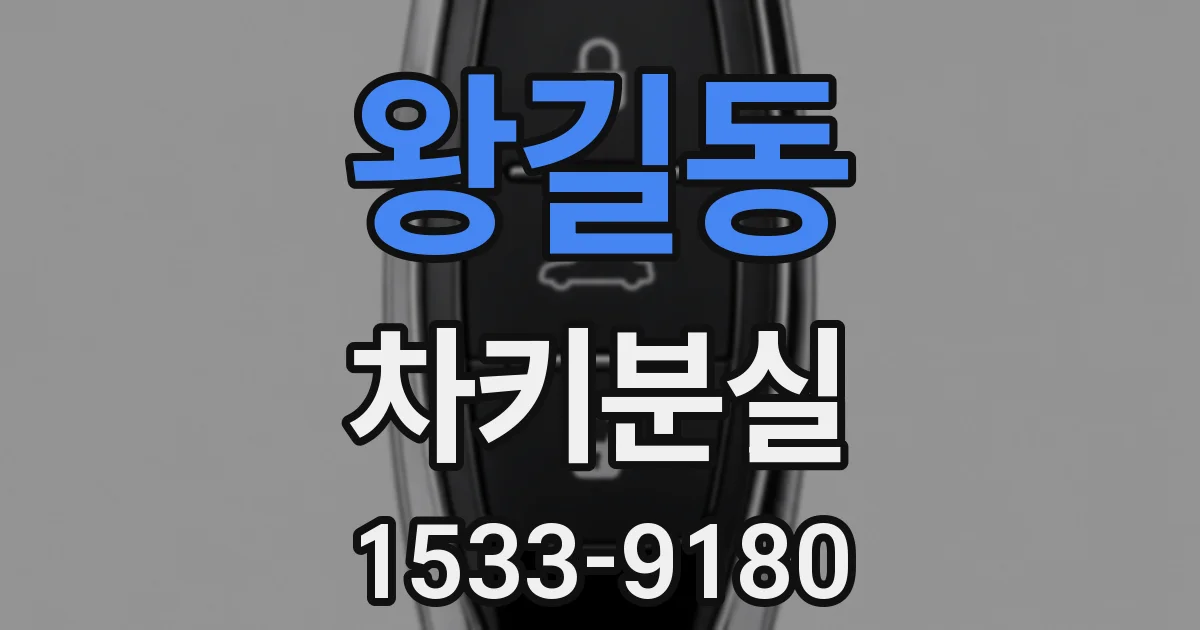 왕길동 차키분실