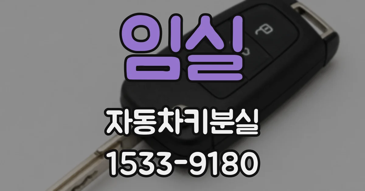 임실 자동차키분실