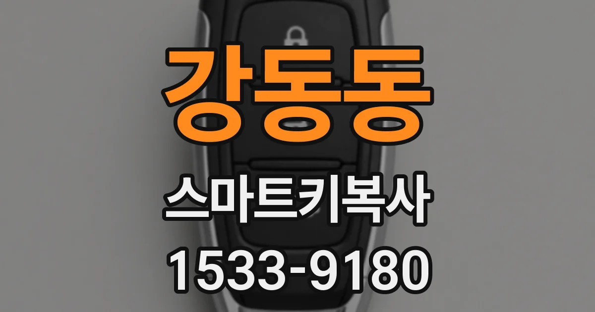 강동동 스마트키복사