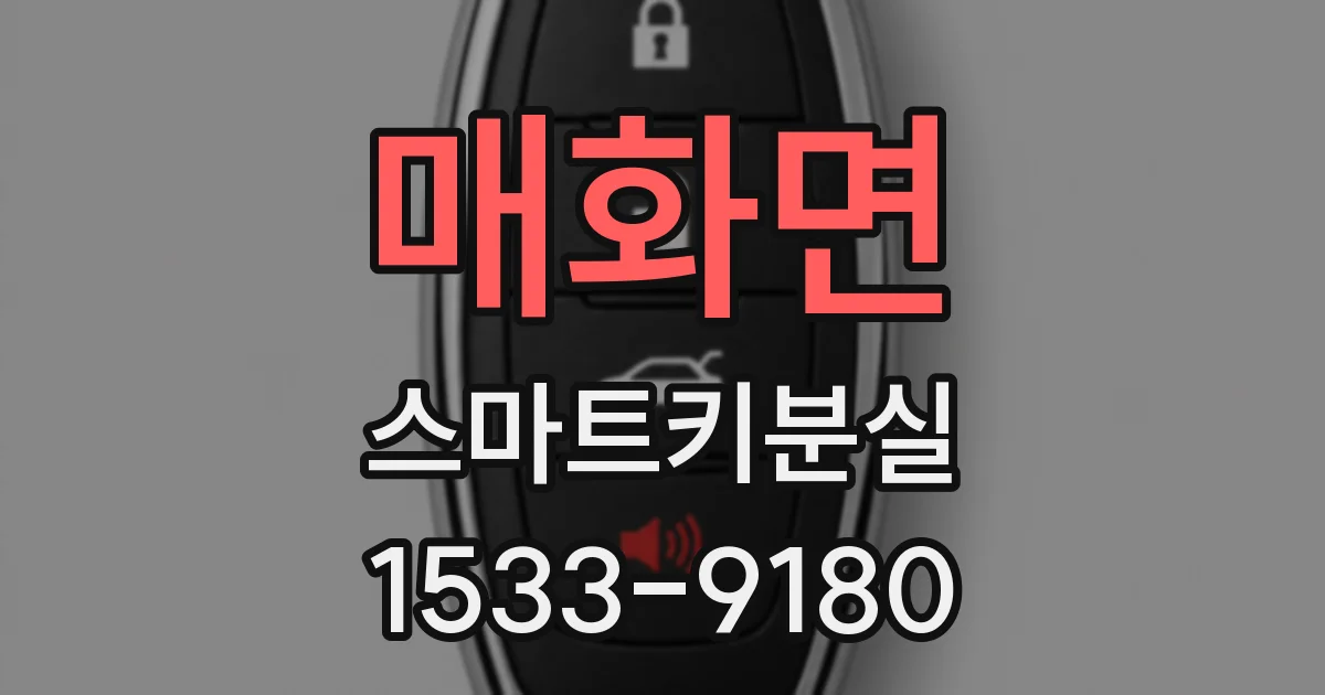 매화면 스마트키분실