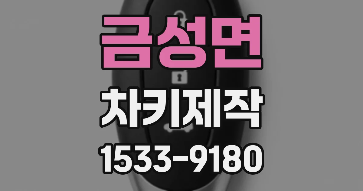 금성면 차키제작