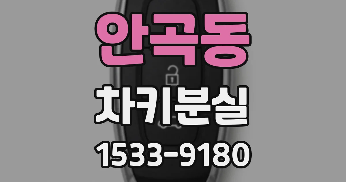 안곡동 차키분실
