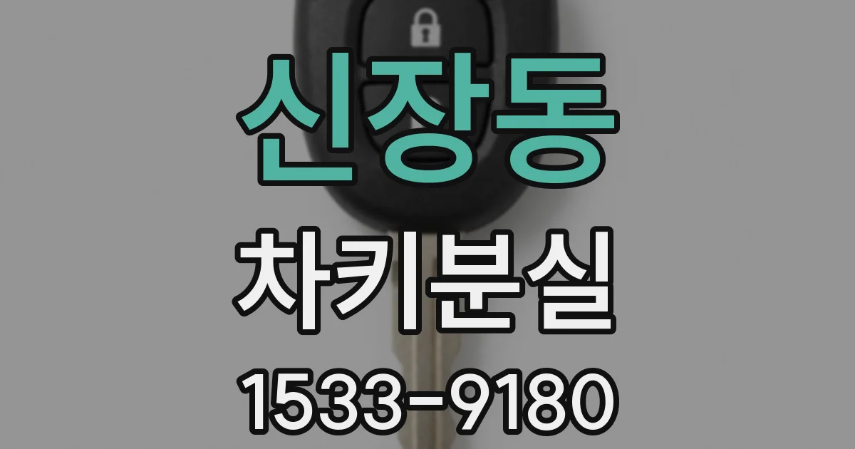 신장동 차키분실