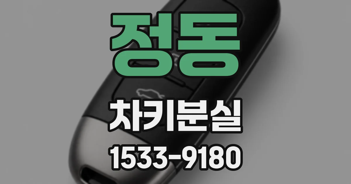 정동 차키분실