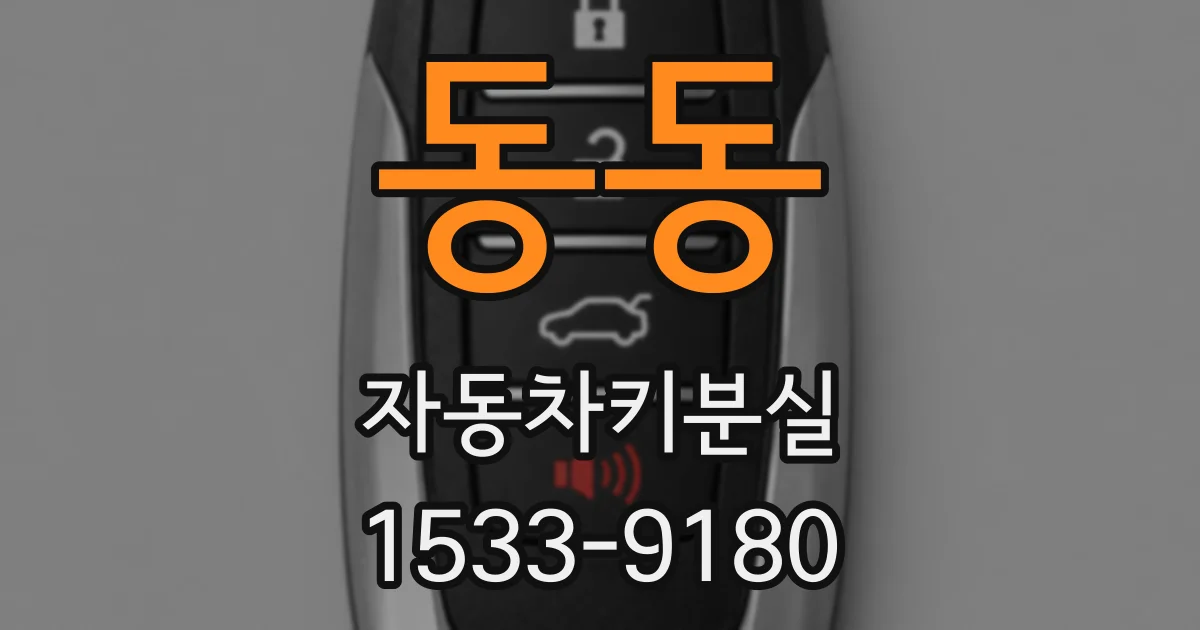 동동 자동차키분실