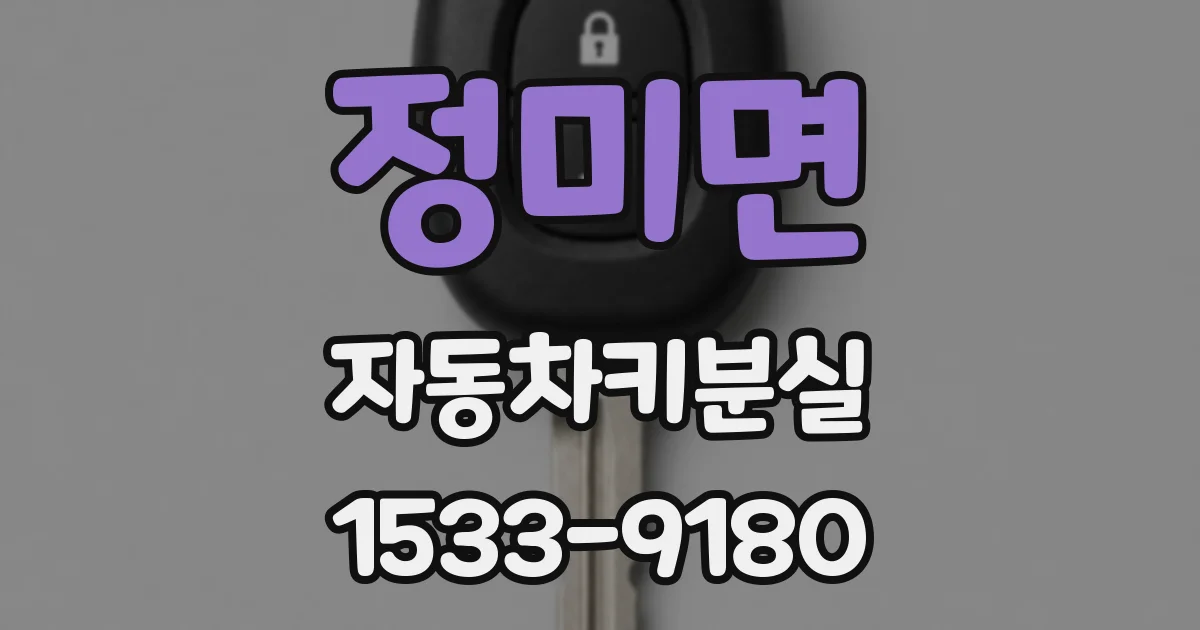 정미면 자동차키분실