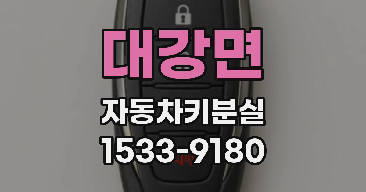 대강면 자동차키분실