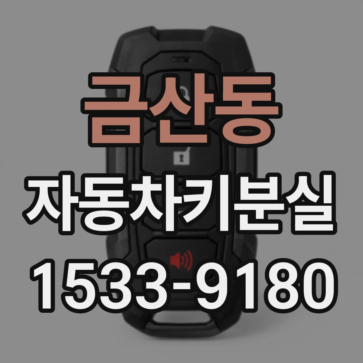 금산동 자동차키분실