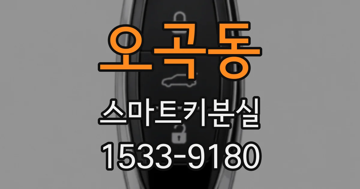 오곡동 스마트키분실