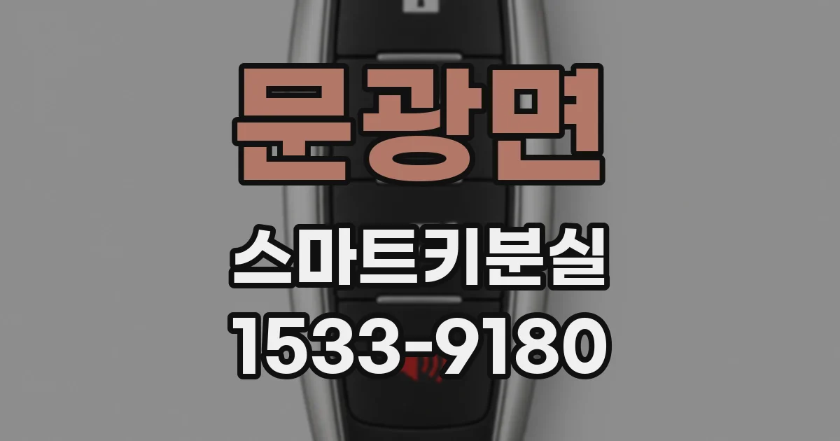 문광면 스마트키분실