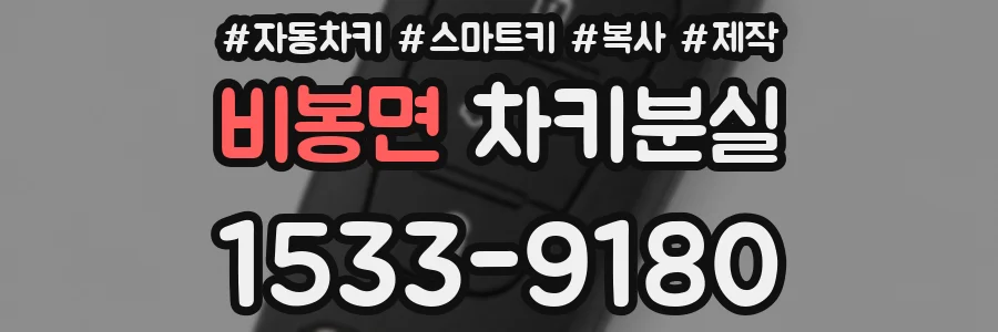 비봉면 차키분실