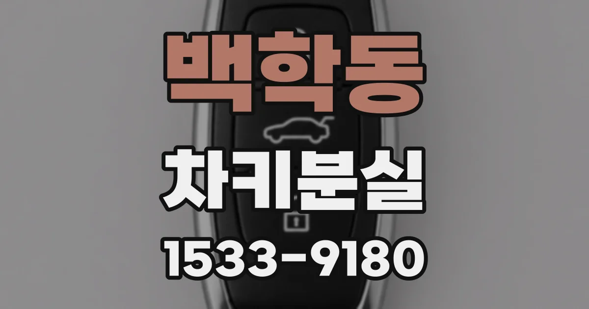 백학동 차키분실