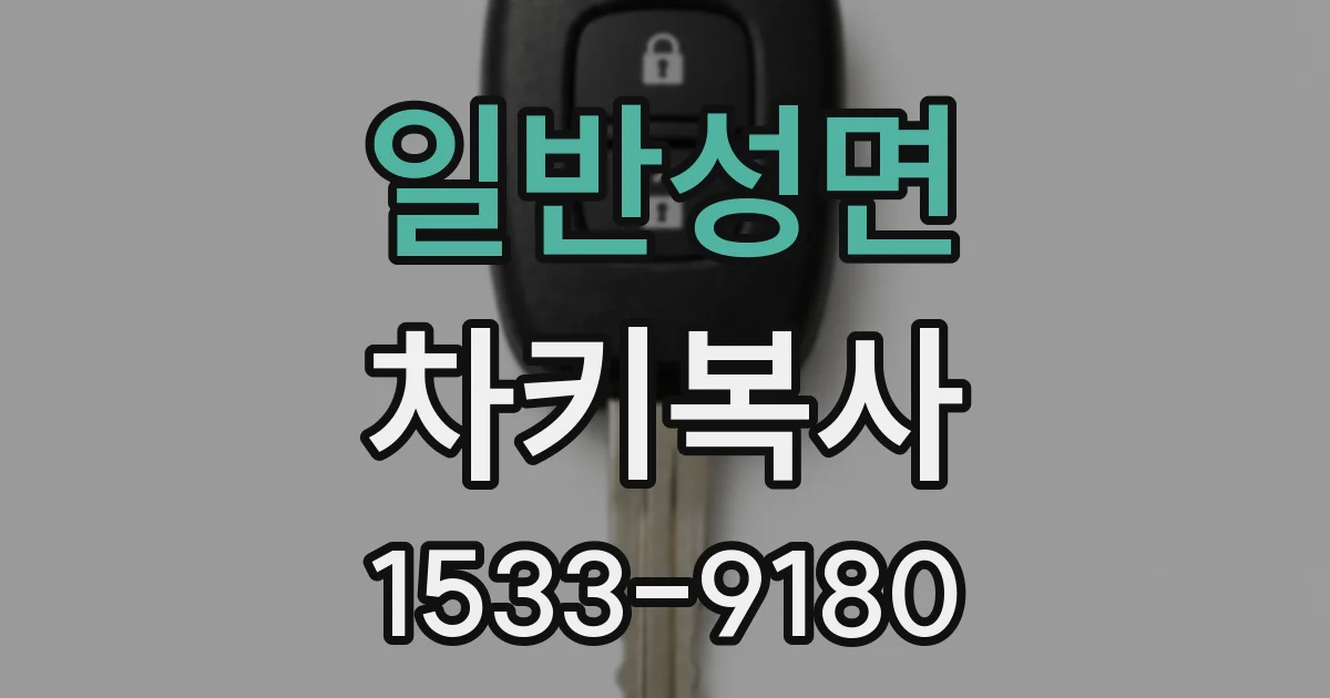 일반성면 차키복사
