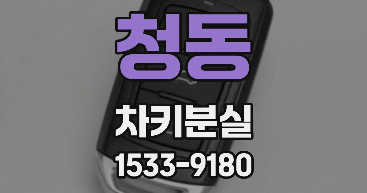 청동 차키분실