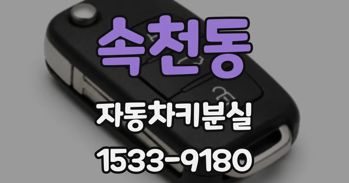 속천동 자동차키분실