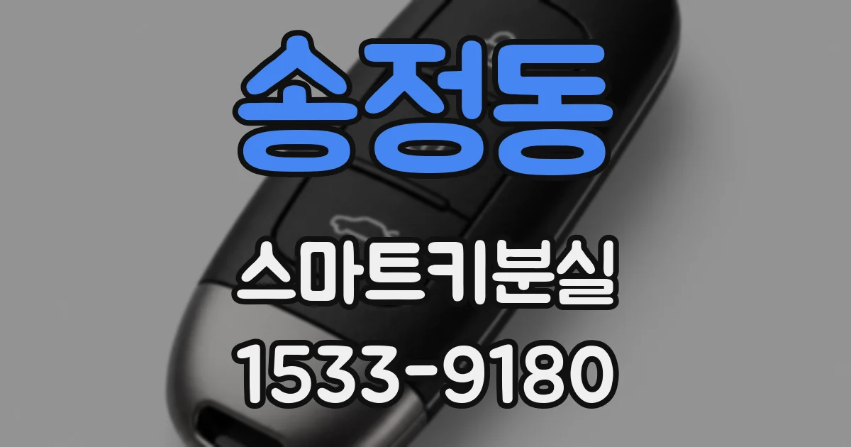 송정동 스마트키분실