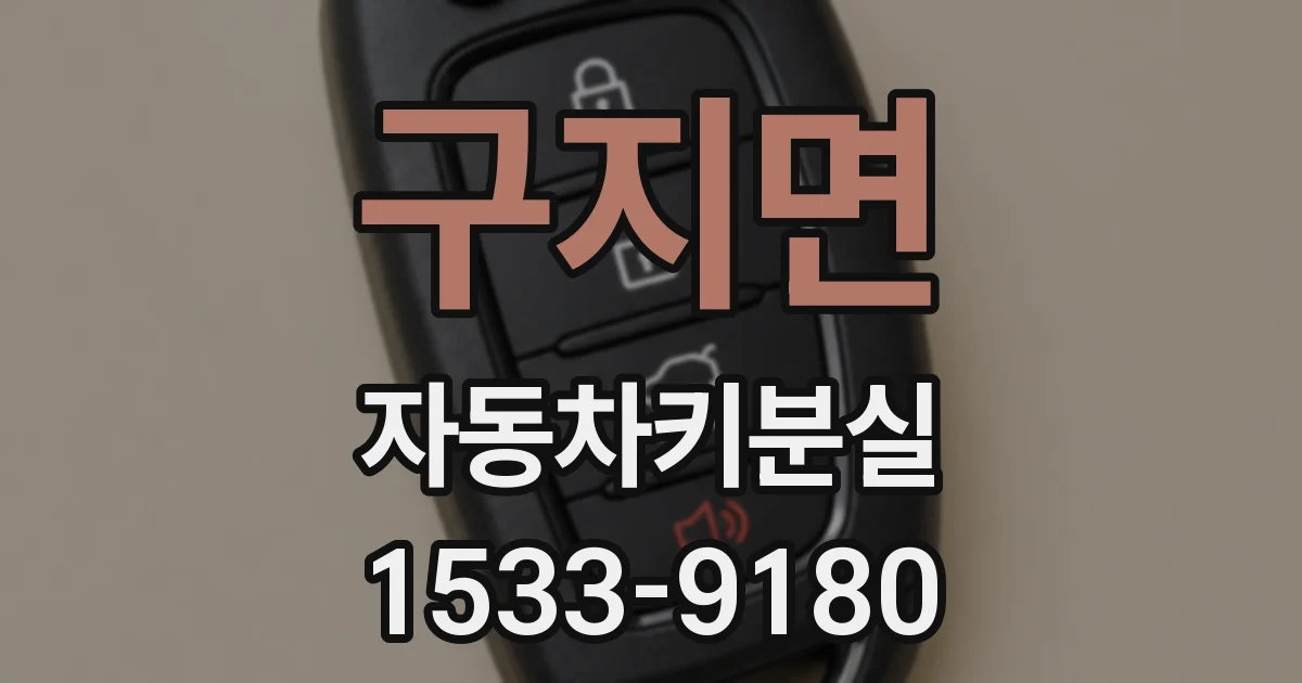 구지면 자동차키분실