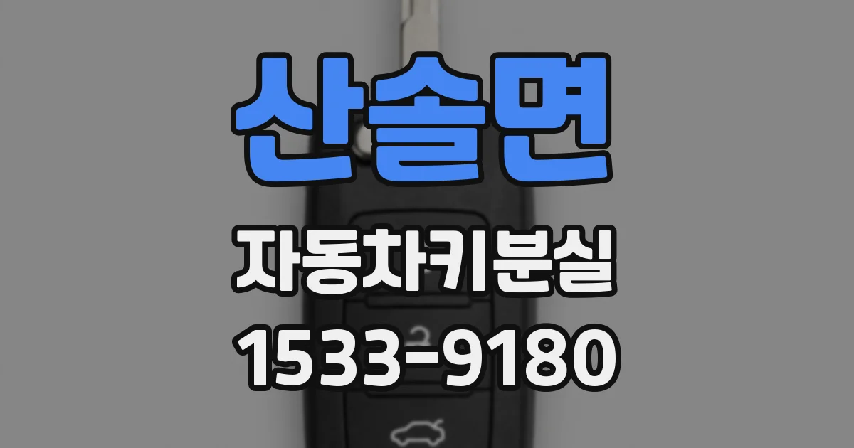 산솔면 자동차키분실