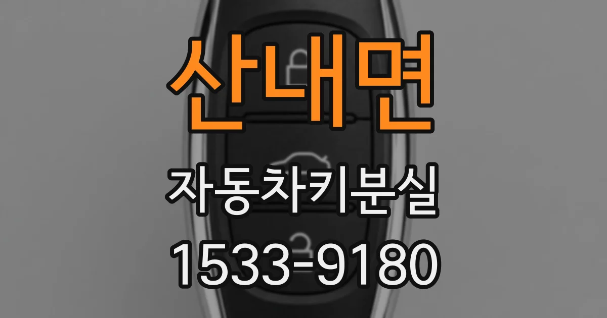 산내면 자동차키분실