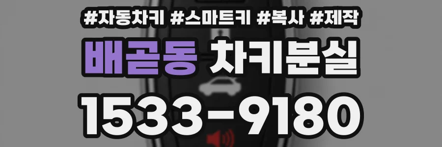 배곧동 차키분실