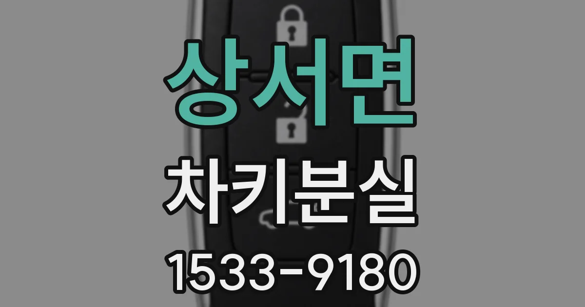상서면 차키분실