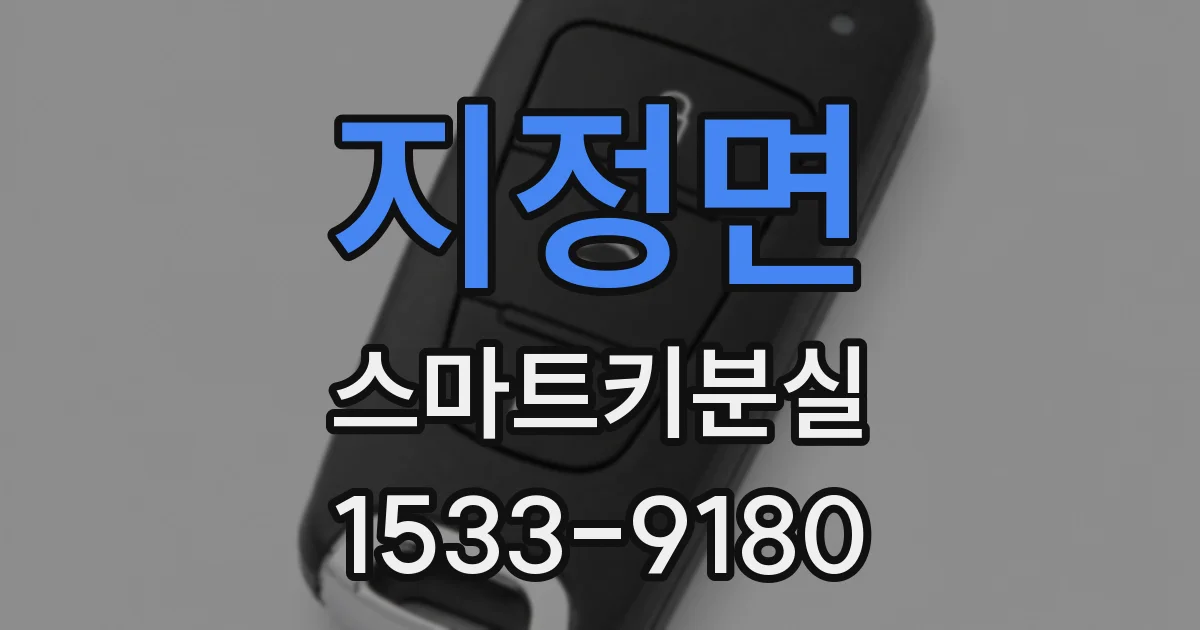지정면 스마트키분실