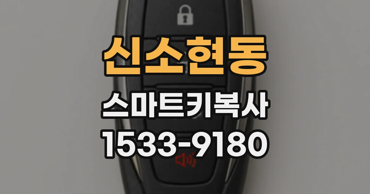 신소현동 스마트키복사