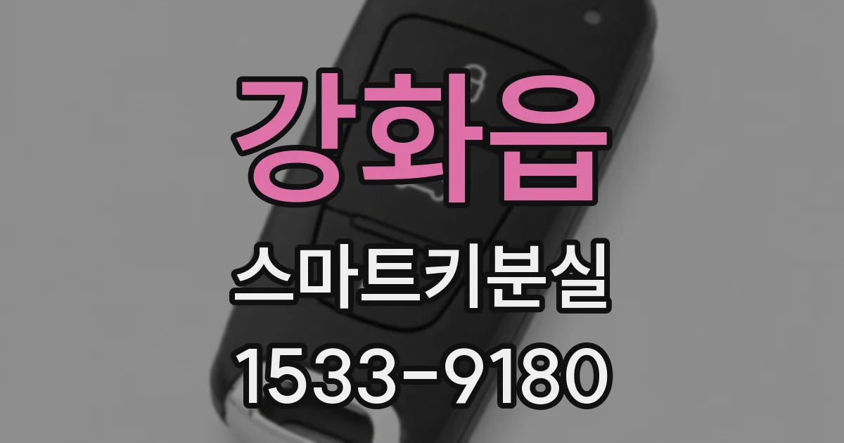 강화읍 스마트키분실
