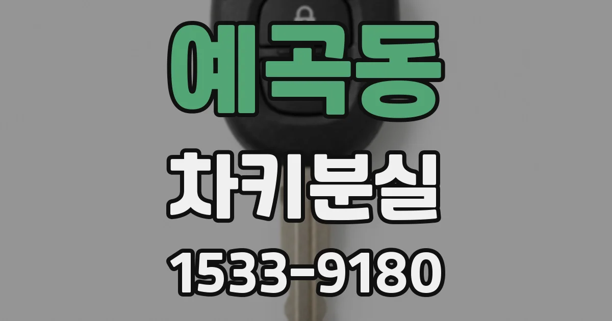 예곡동 차키분실