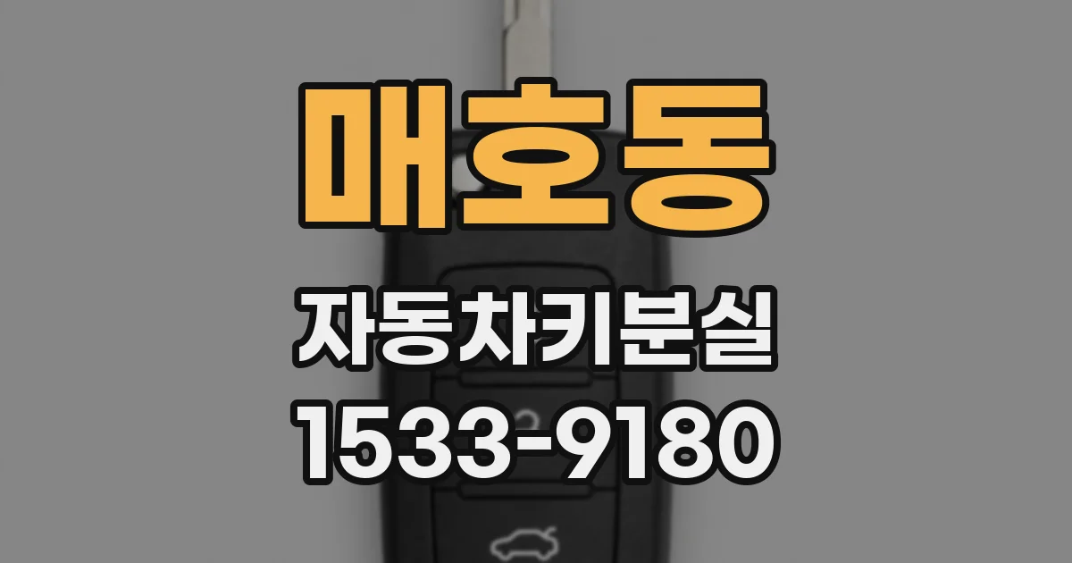매호동 자동차키분실