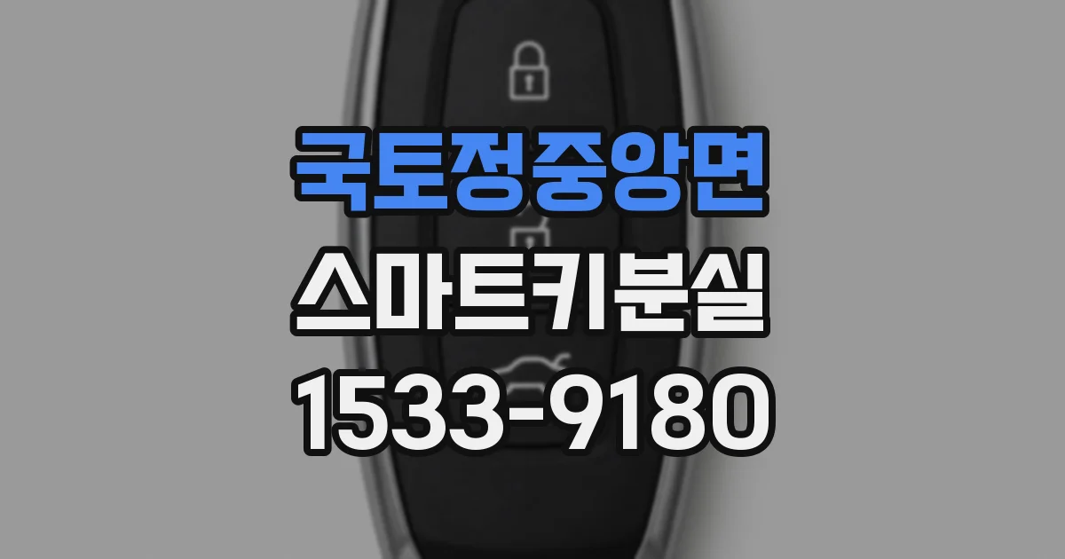 국토정중앙면 스마트키분실