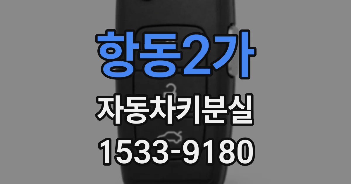 항동2가 자동차키분실