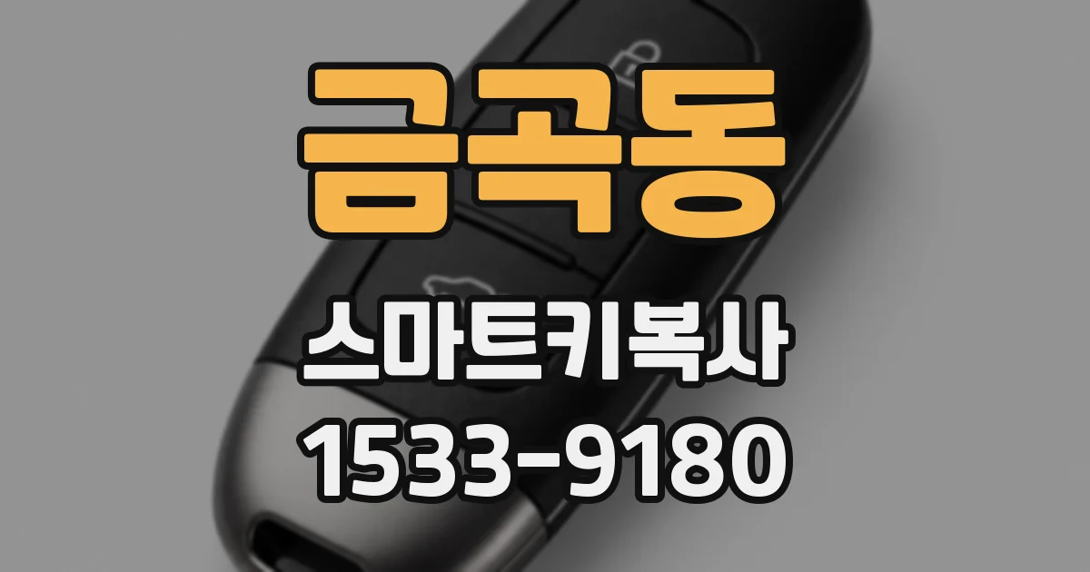 금곡동 스마트키복사