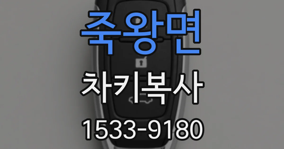 죽왕면 차키복사