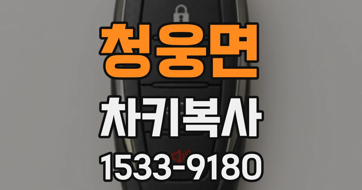 청웅면 차키복사