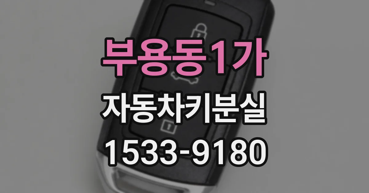 부용동1가 자동차키분실