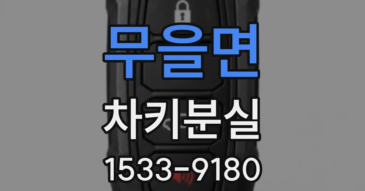 무을면 차키분실