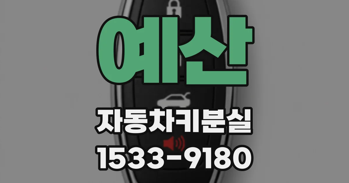 예산 자동차키분실